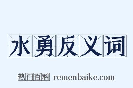 水勇反义词是什么意思的图片